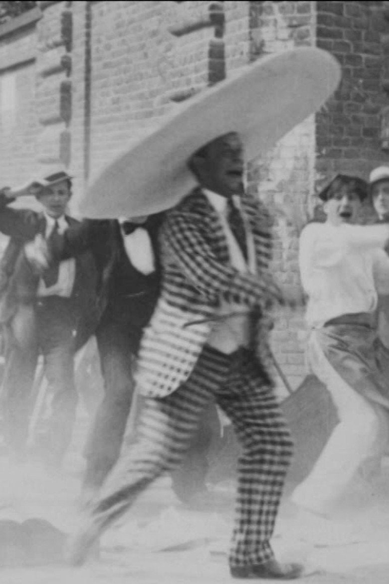 Wide Brimmed Hats Are Fashionable poster background