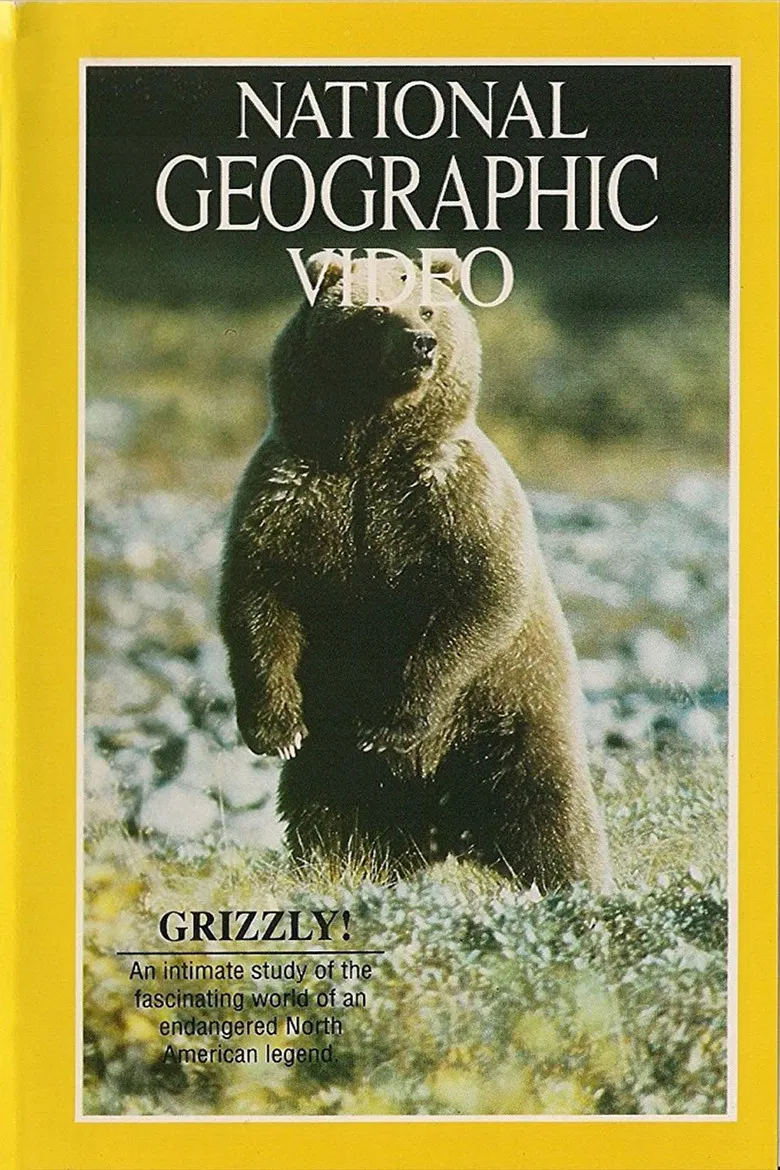 Grizzly! poster background