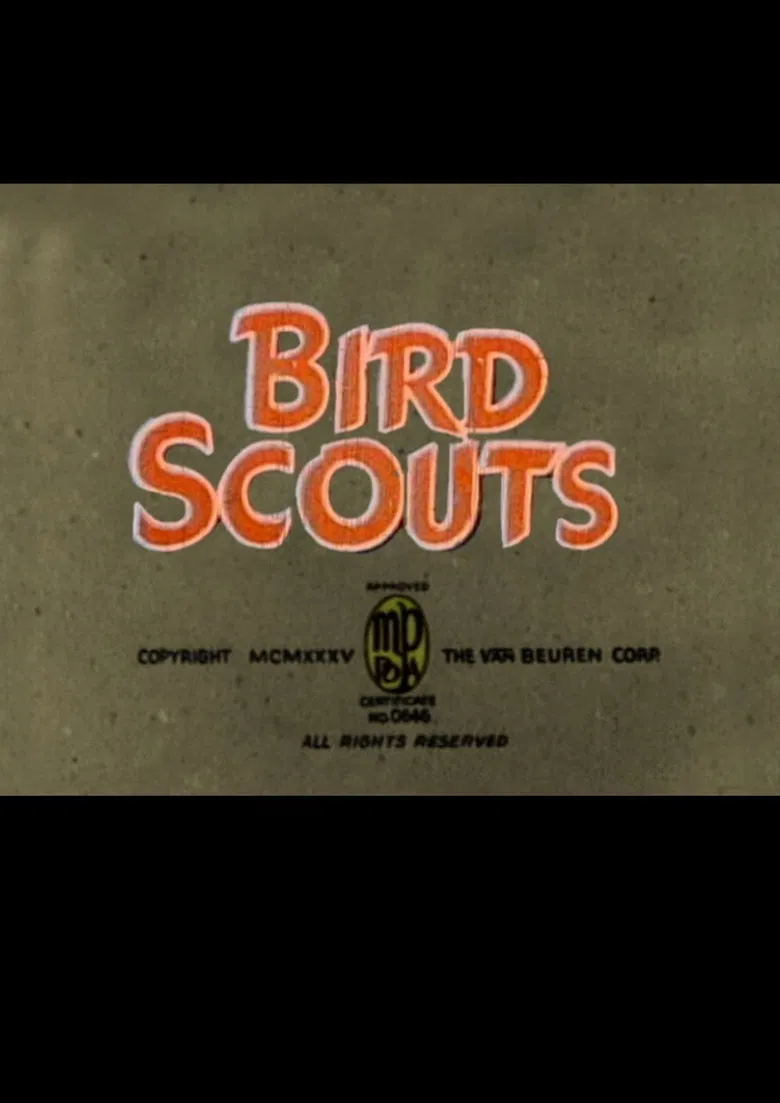 Bird Scouts poster background