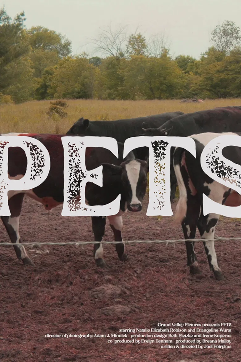 Pets poster background