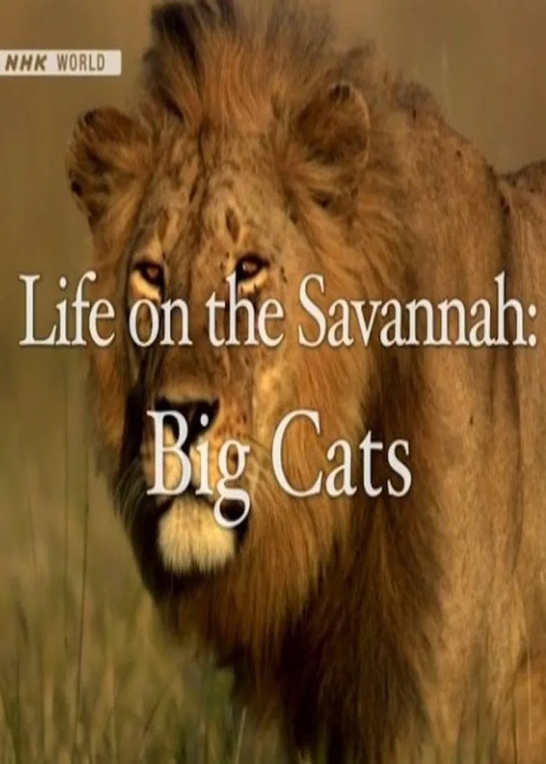 Life on the Savannah: Big Cats poster background