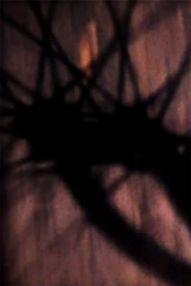 A Tale Part Told poster background