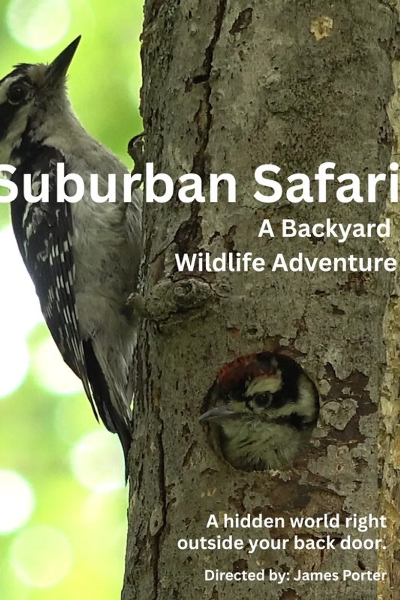 Suburban Safari: A Backyard Wildlife Adventure poster background