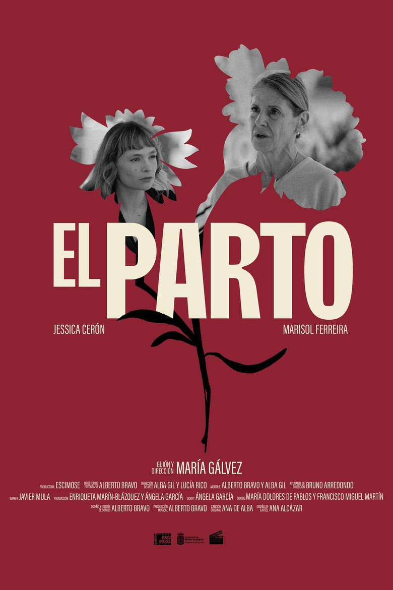 El Parto poster background