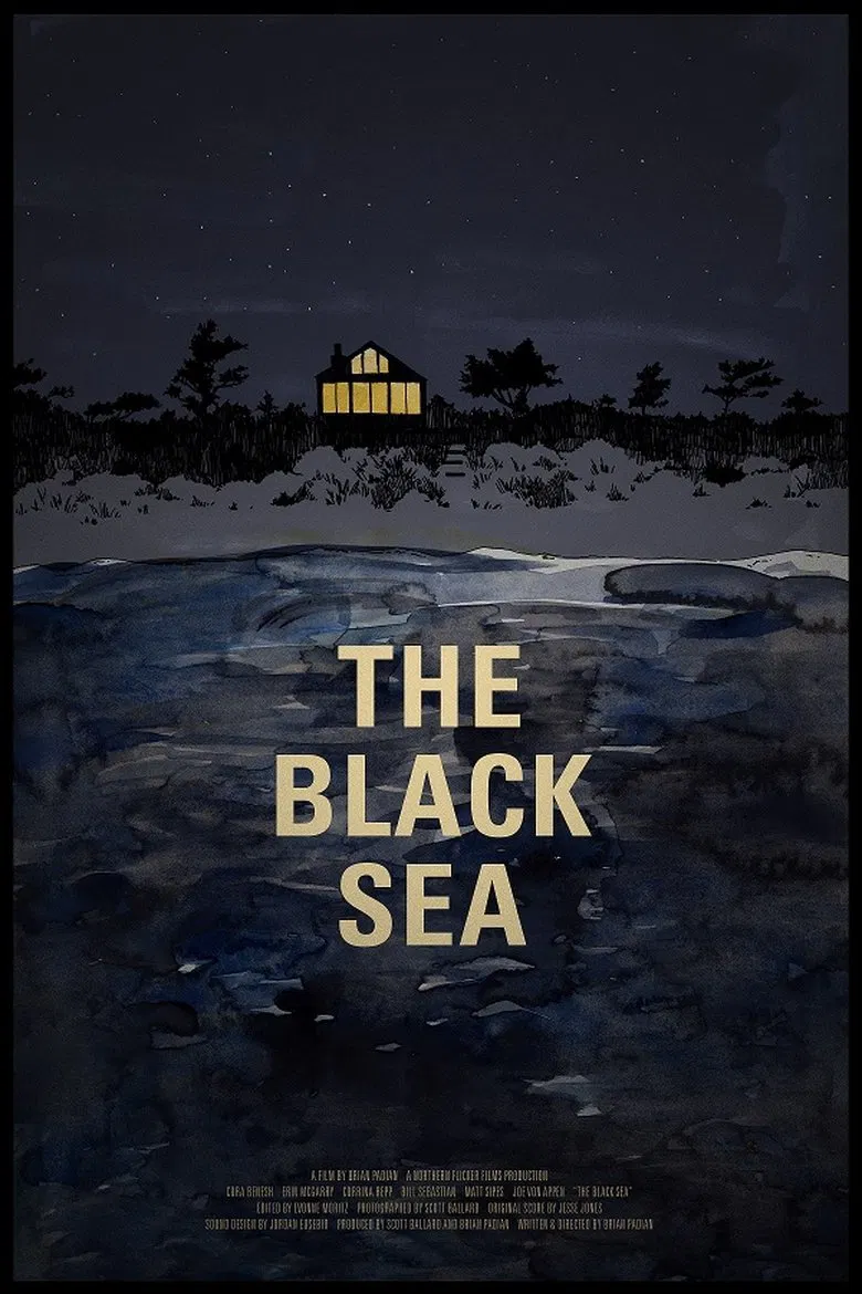 The Black Sea poster background