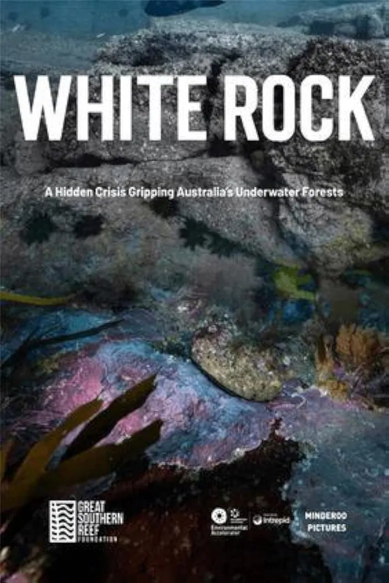 White Rock poster background