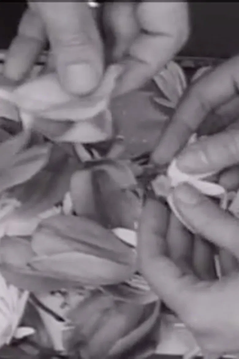 The Clouds That Touch Us Out of Clear Skies poster background