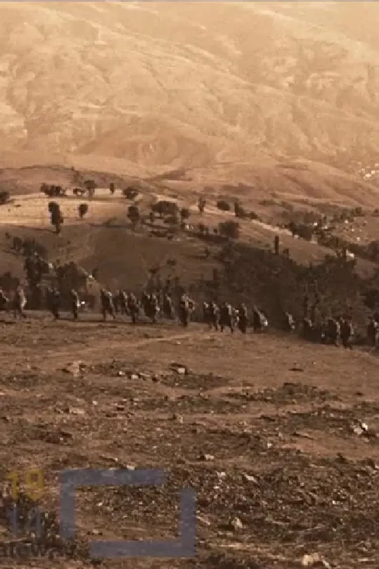 Battle of Zedilovo poster background