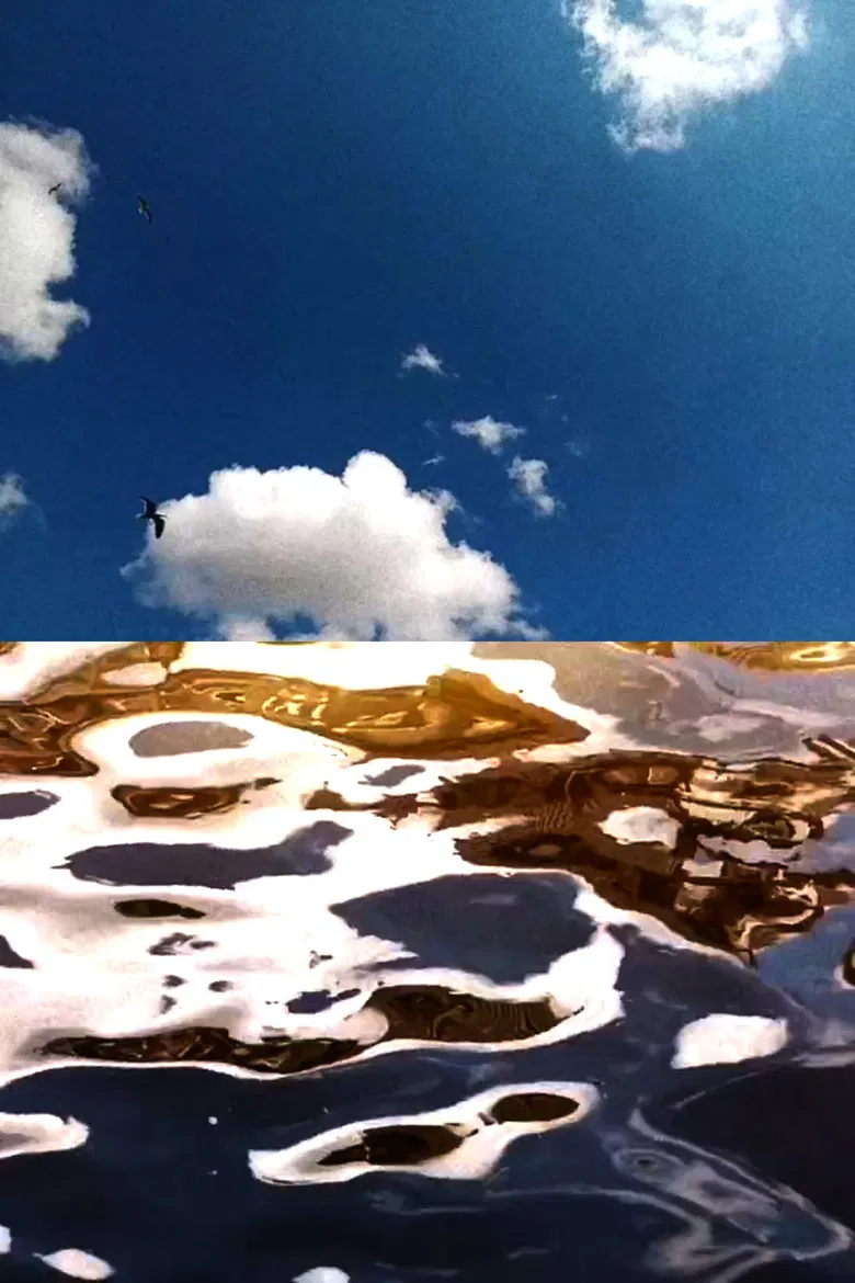 Landscape For Birds poster background