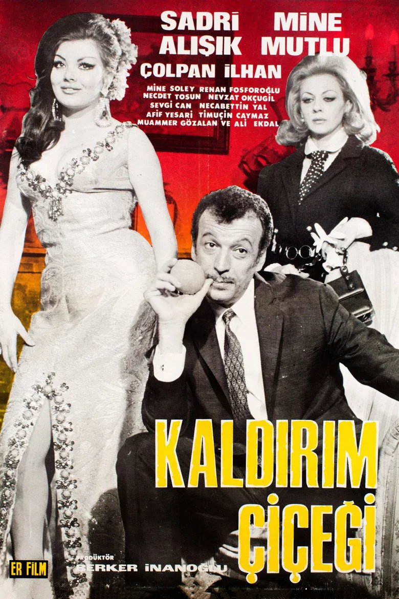 Kaldırım Çiçeği poster background