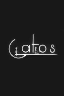 Cats poster background