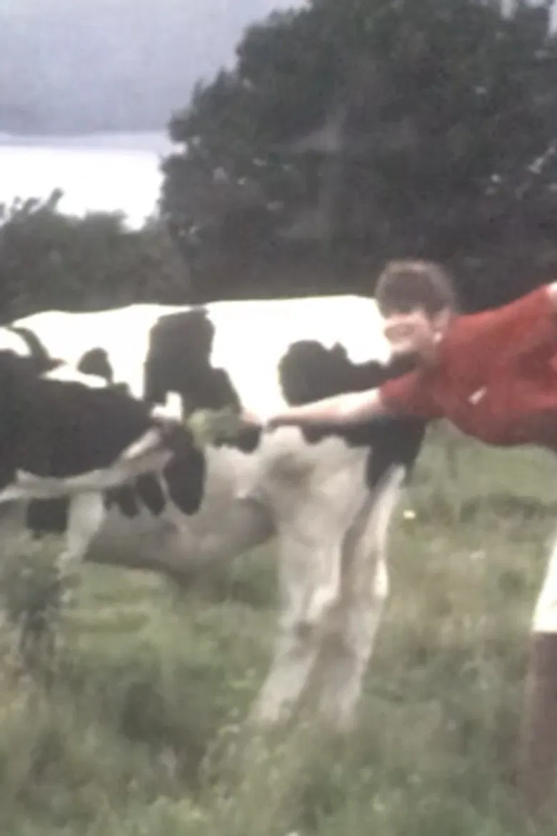 Visibility: Moderate poster background