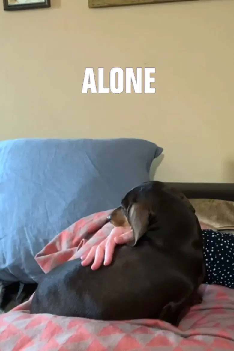 Alone poster background