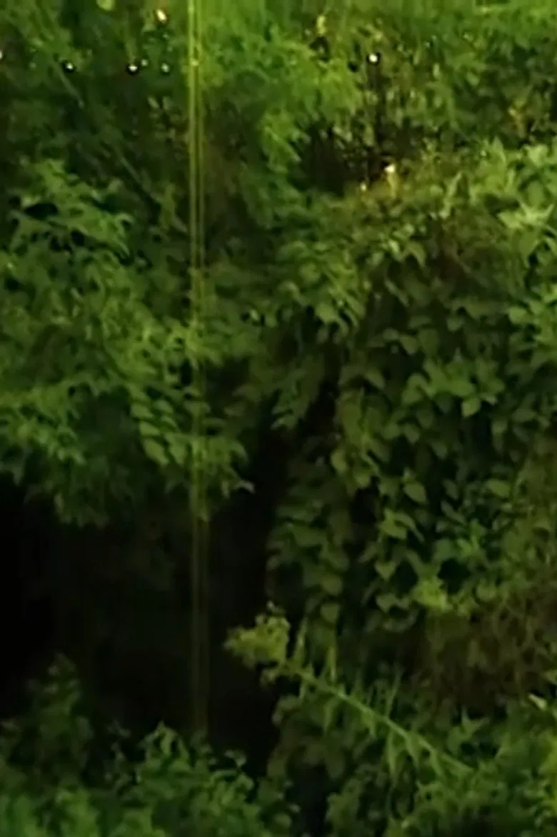 I love the sound cicadas make. poster background