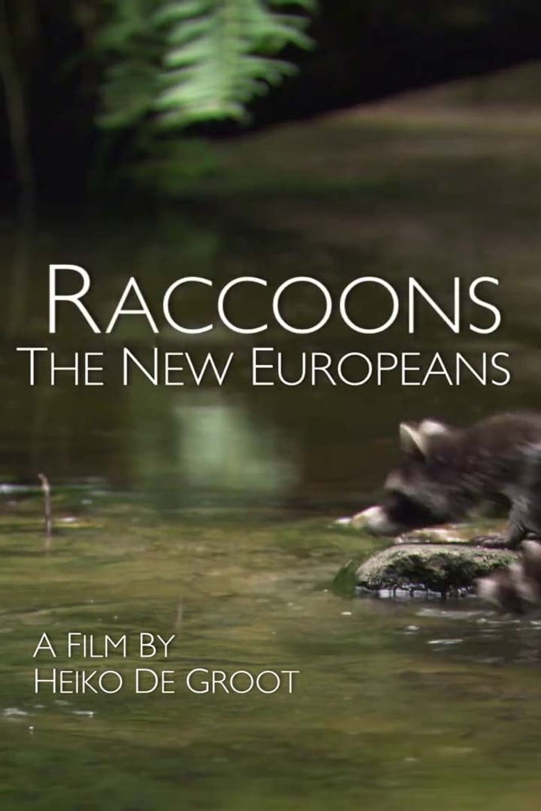Raccoons: The New Europeans poster background