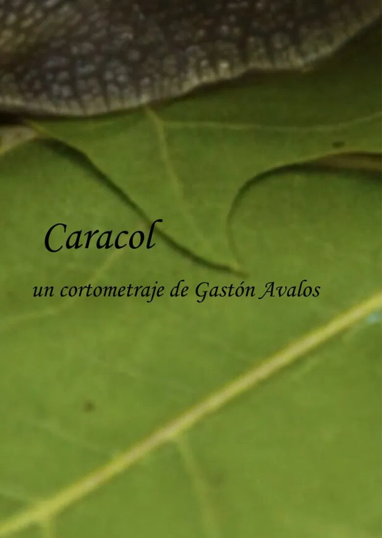Caracol poster background