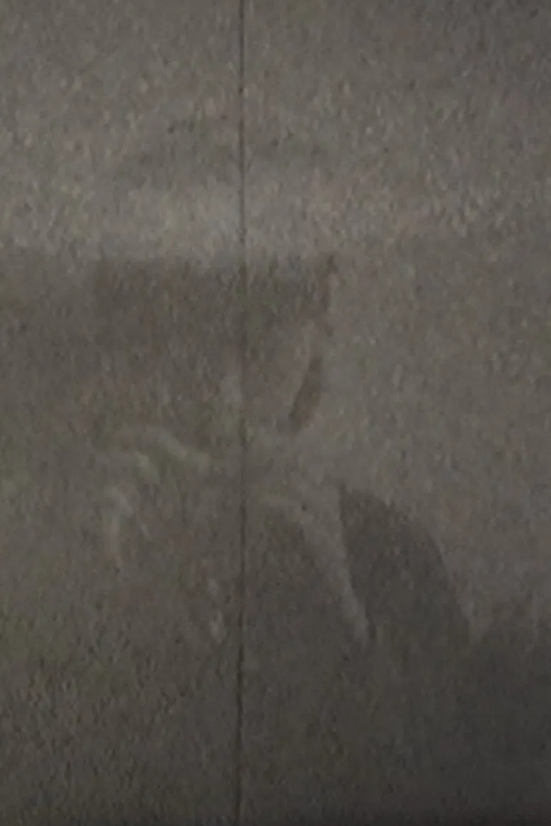 KU MI KO poster background