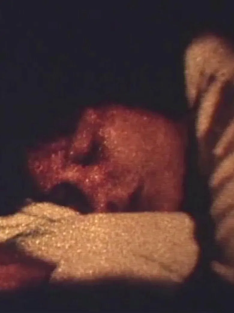 Homebelly poster background