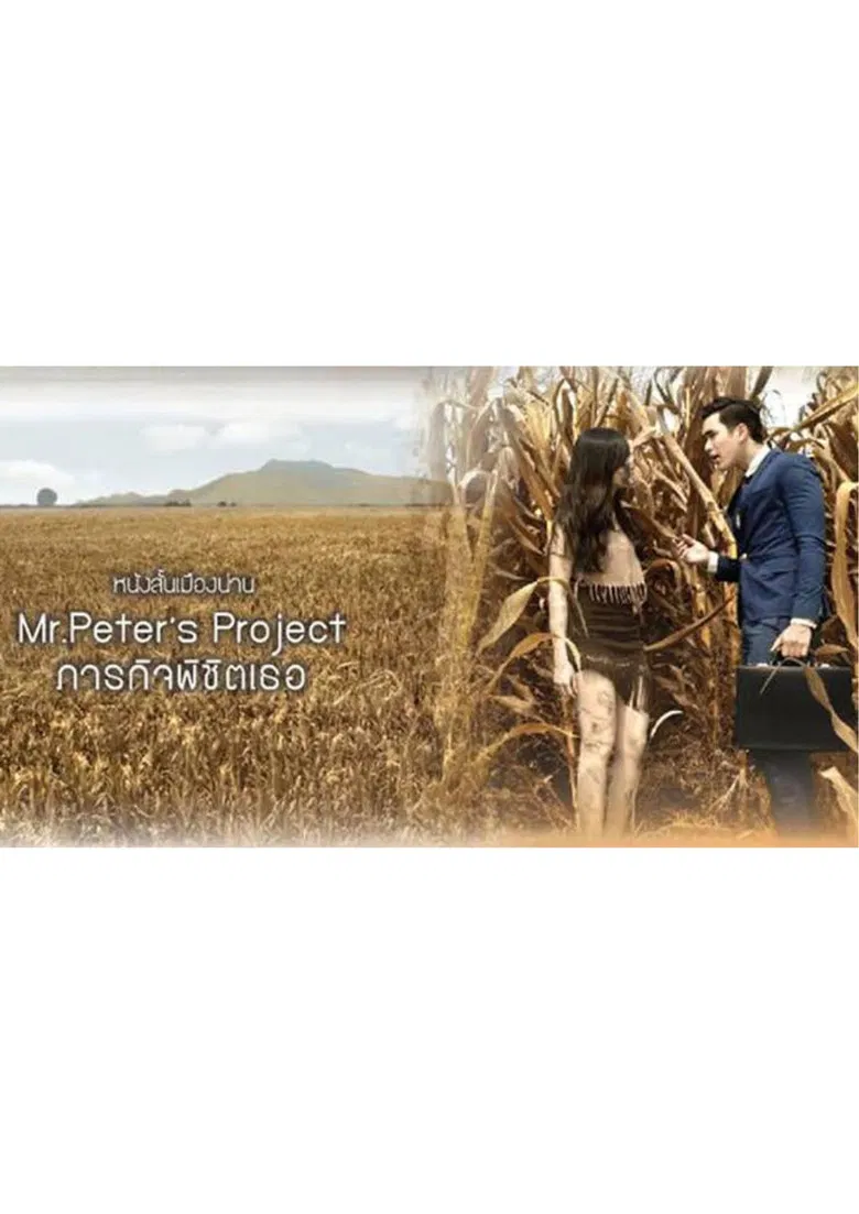 Mr. Peter’s Project poster background