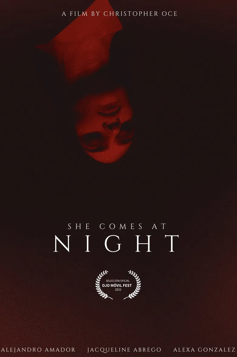 SHE COMES AT NIGHT poster background
