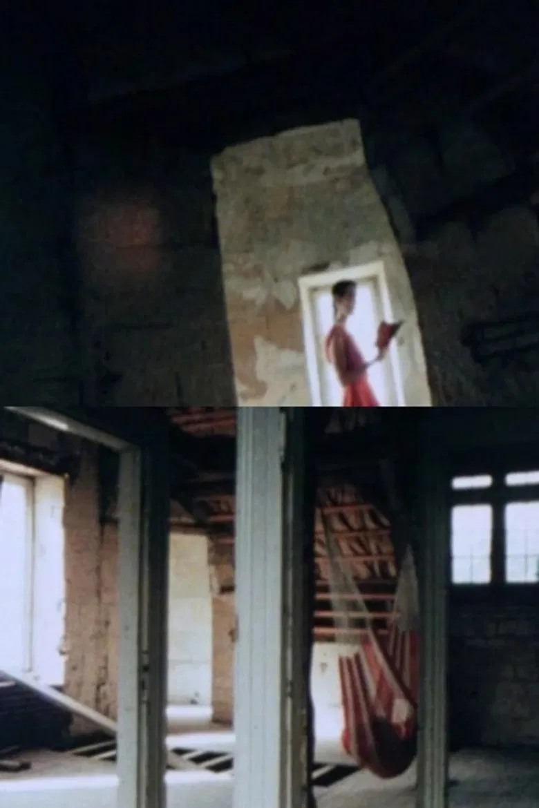 Schaloen poster background