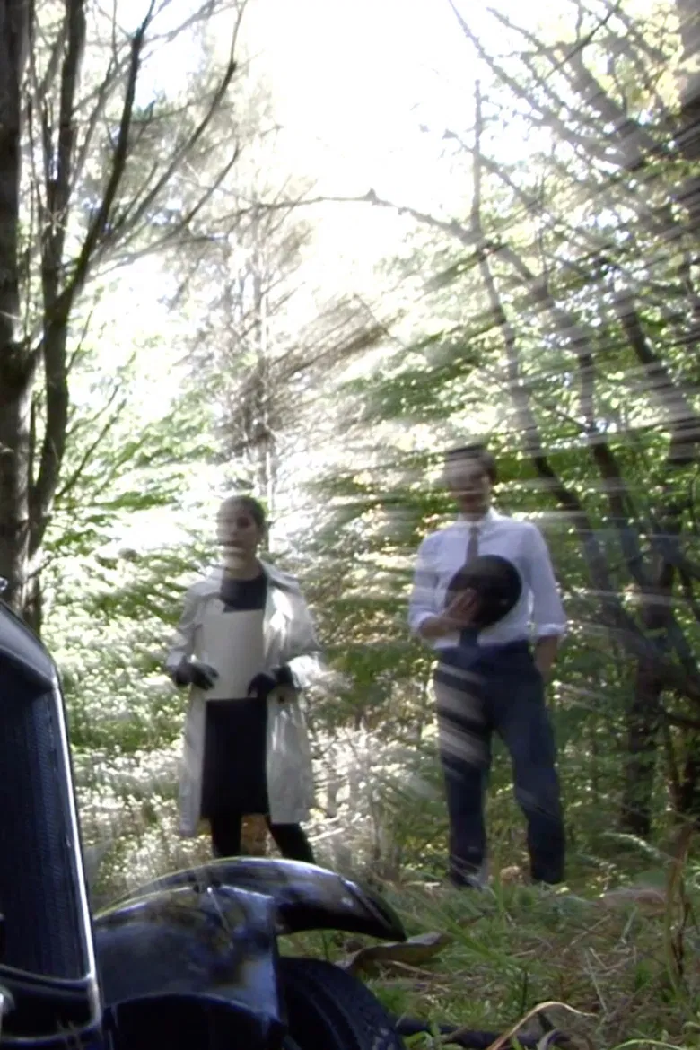 In the Hours of Darkness poster background