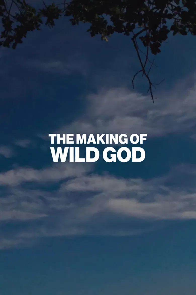 The Making of Wild God poster background