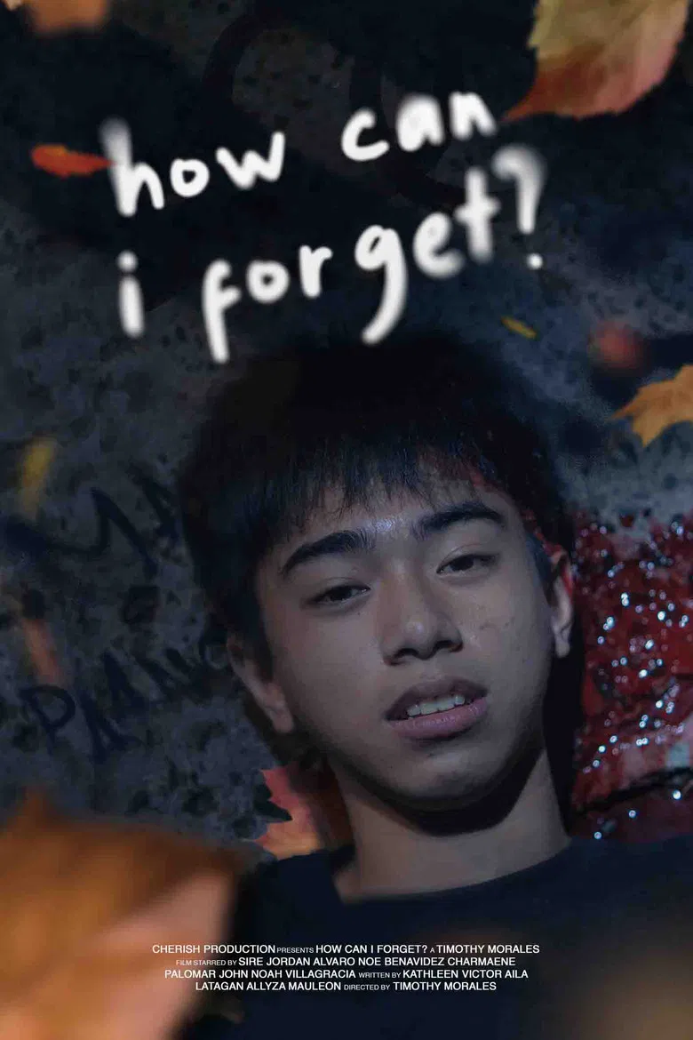 How Can I Forget? poster background