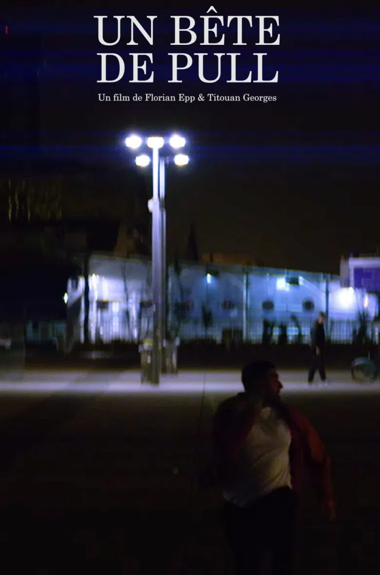 Un Bête de Pull poster background