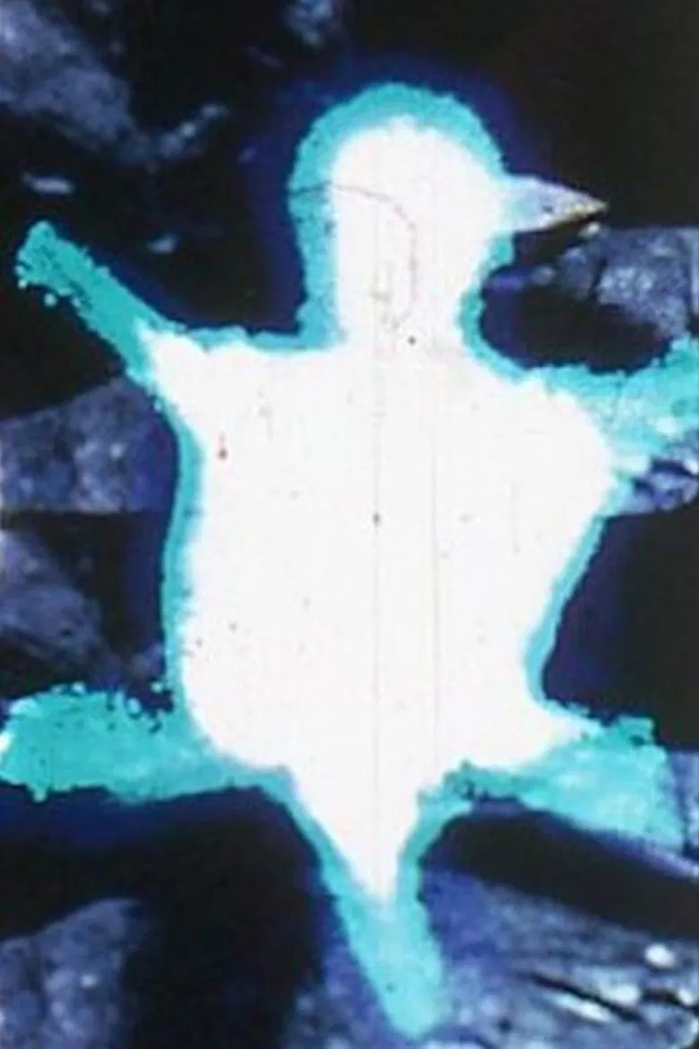 Turtle poster background