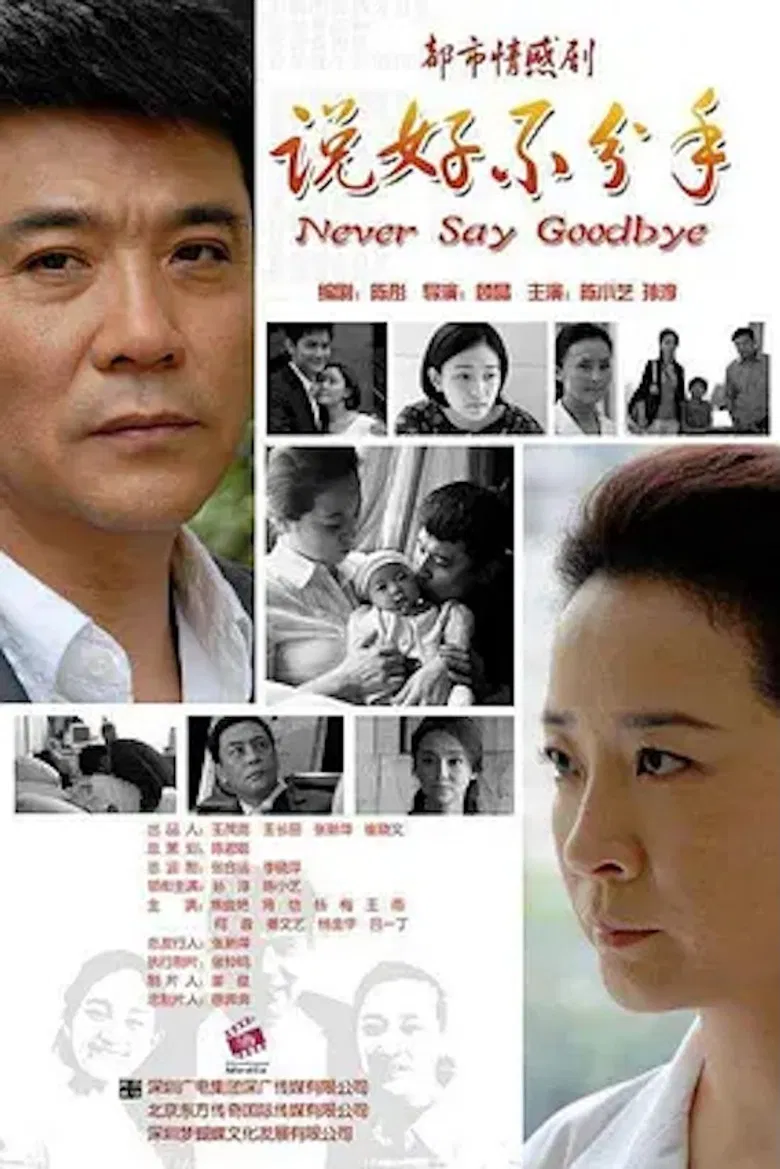 说好不分手 poster background