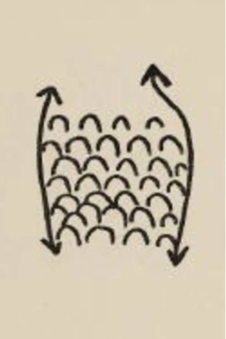 Projet Pour Un Poisson poster background