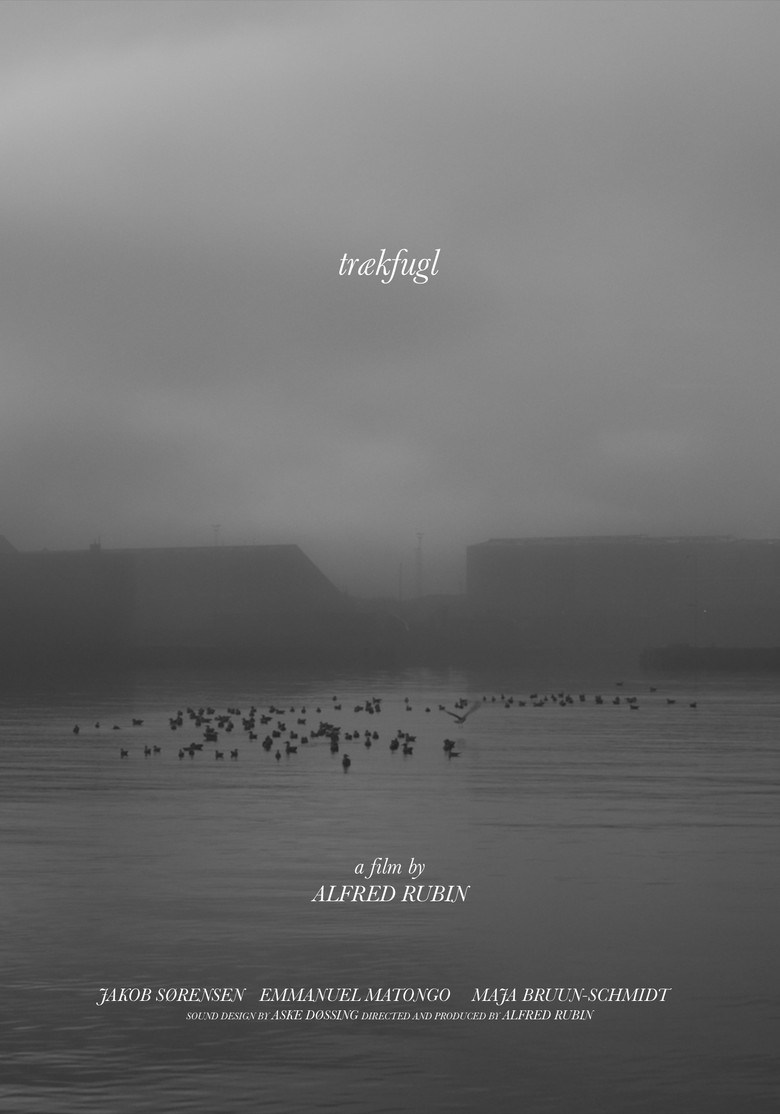 trækfugl poster background