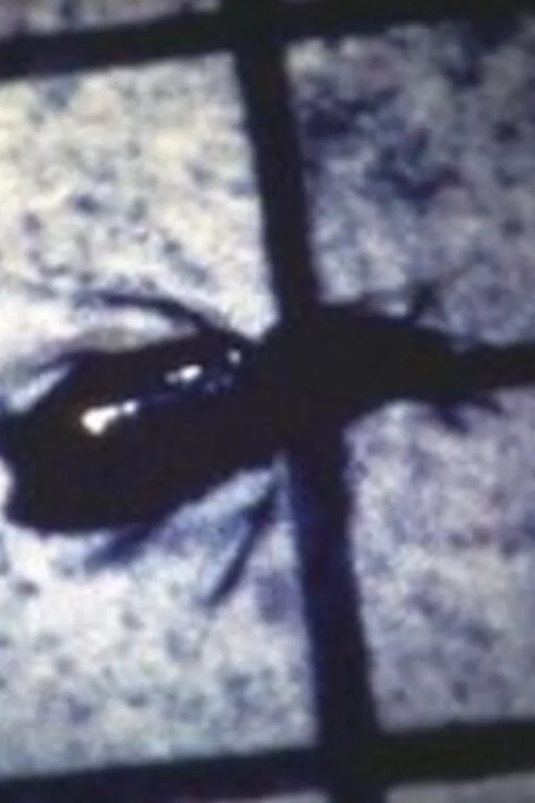 INSECT poster background