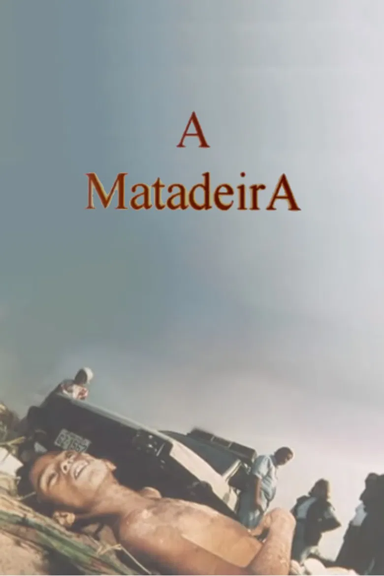 A Matadeira poster background