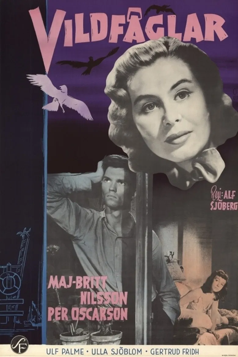 Wild Birds poster background