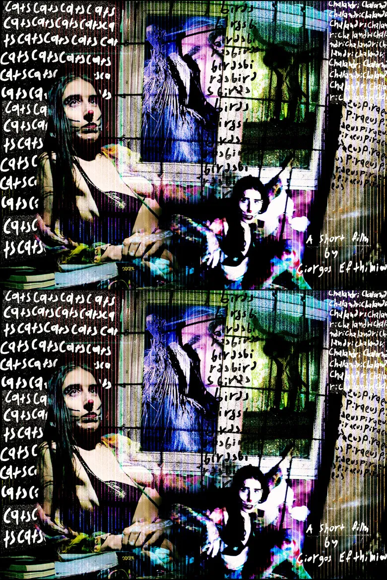 Cats, Birds, Chalandri, Piraeus poster background