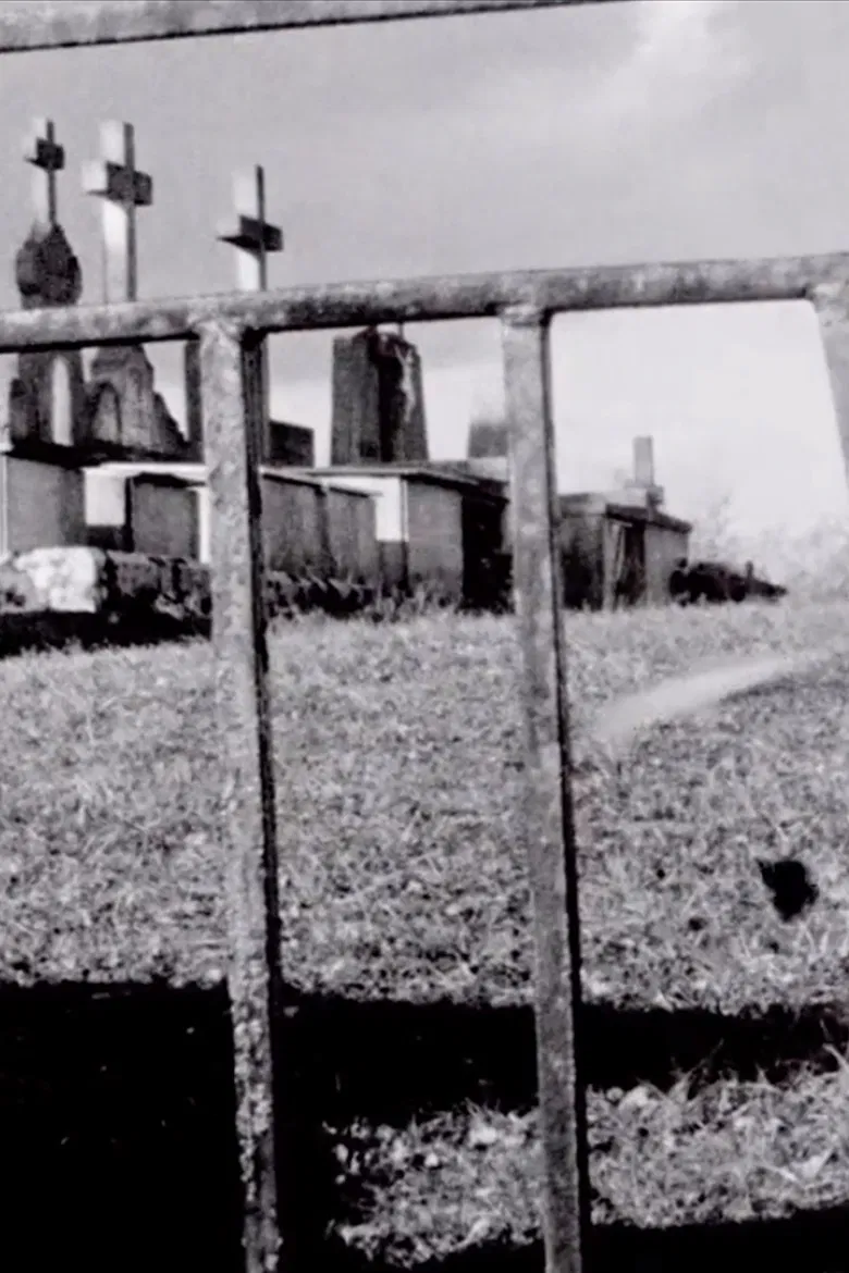 Passport Is Sound poster background