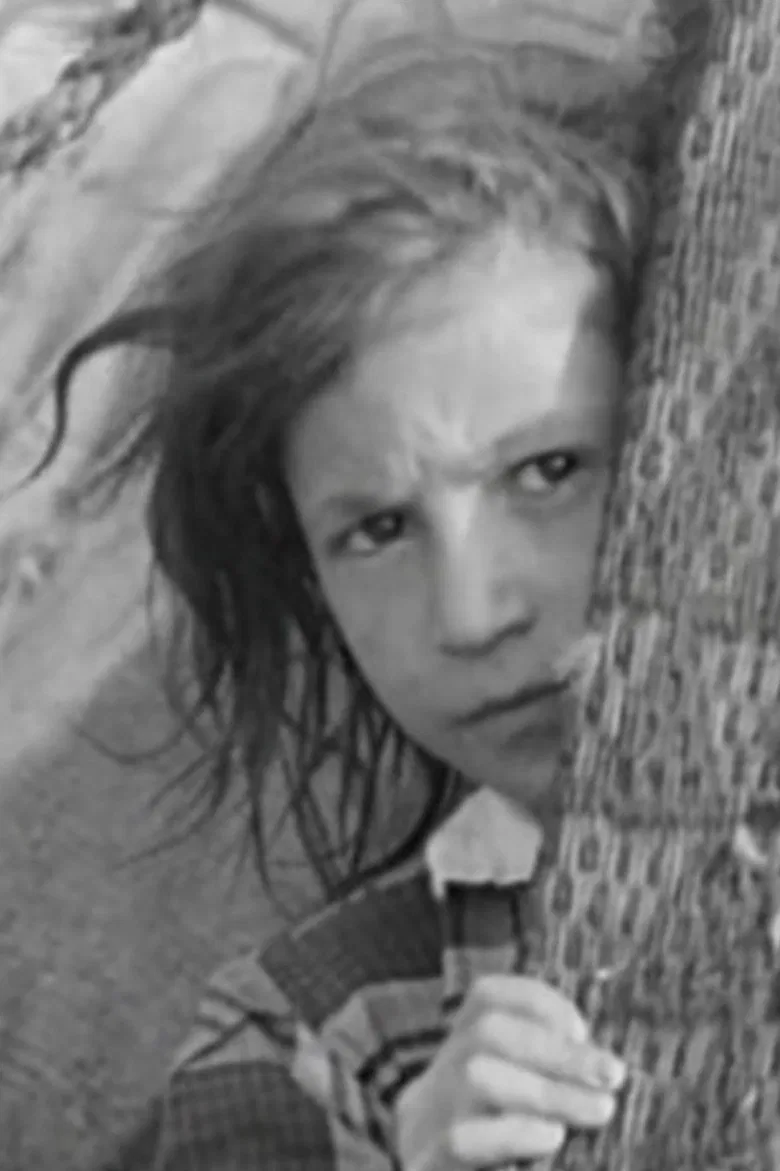 They Come Across the Borders poster background