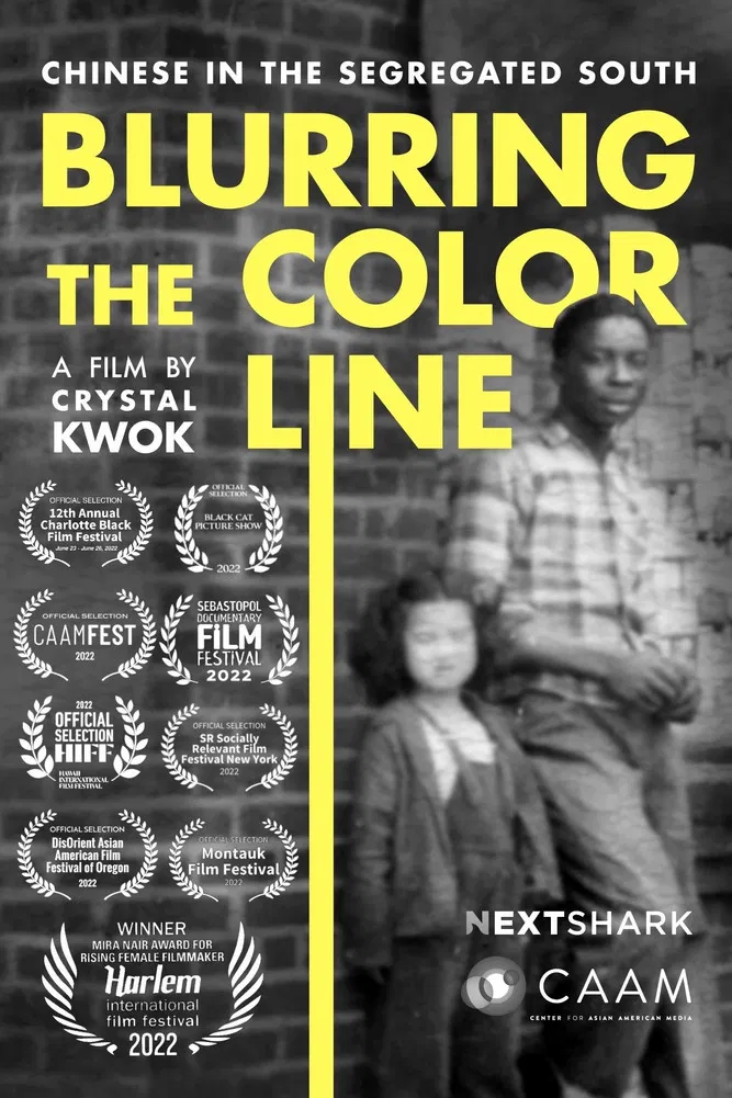Blurring the Color Line: Chinese in the Segregated South poster background