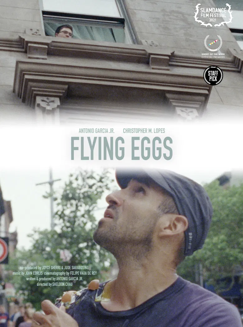 Flying Eggs poster background