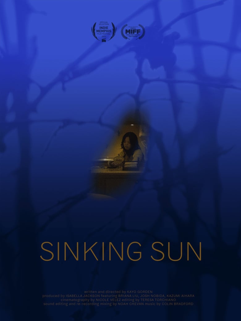 Sinking Sun poster background