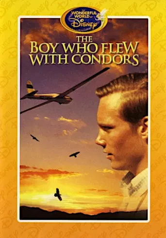 The Boy Who Flew with Condors poster background