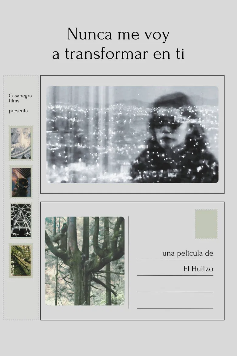 I will never transform into you poster background