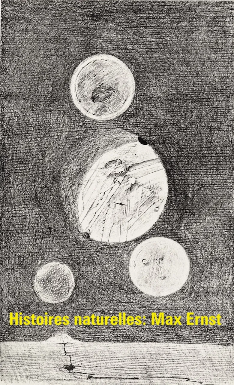 Histoires naturelles : Max Ernst poster background