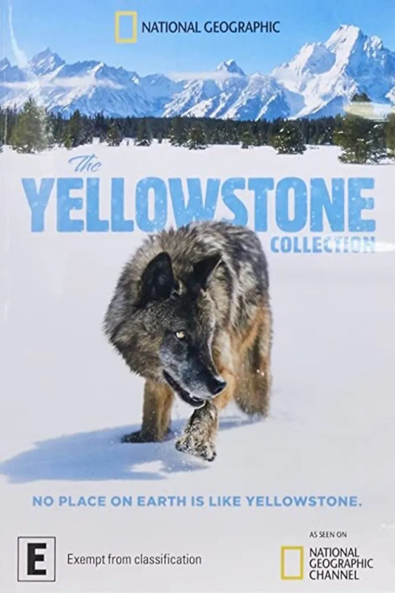 The Yellowstone Collection poster background