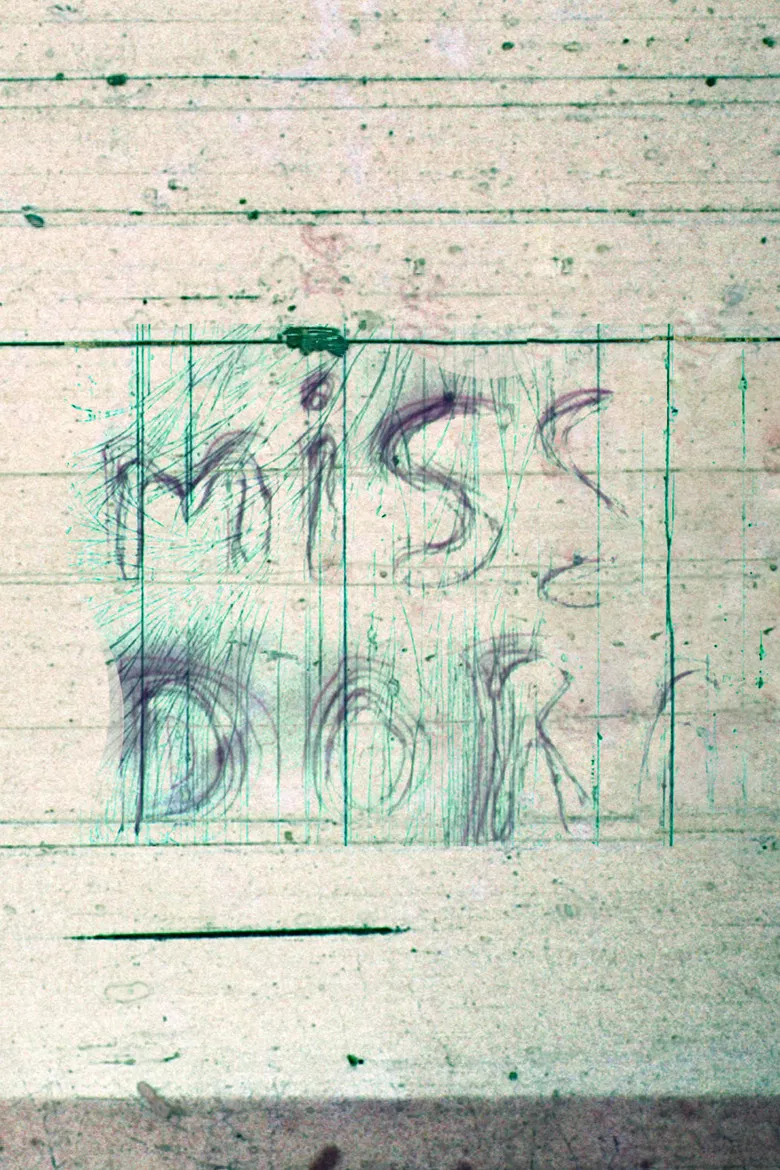 Miss Dora poster background