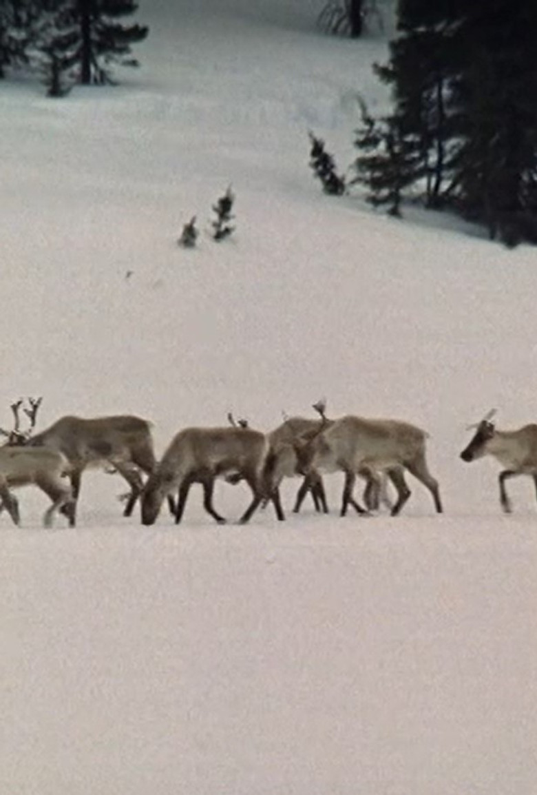 Capture poster background