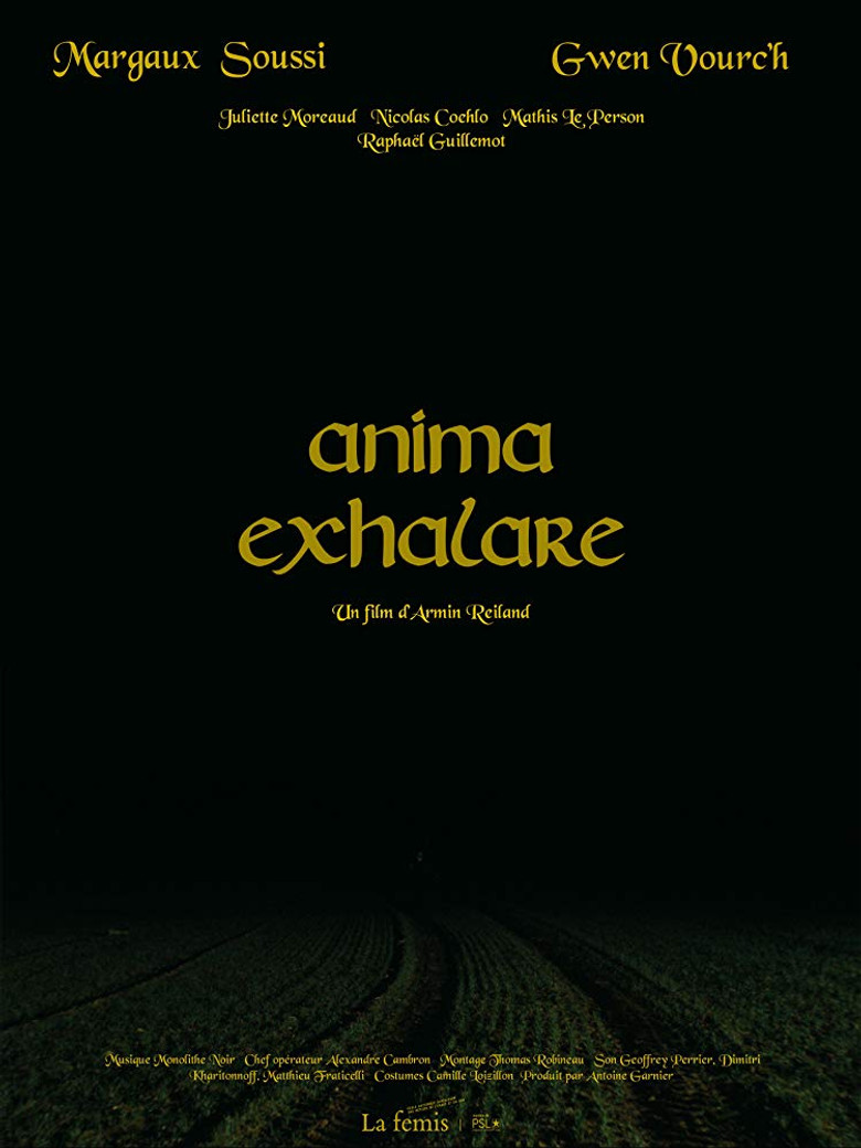 Anima Exhalare poster background
