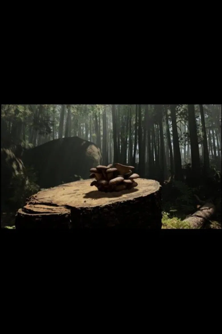 Forager poster background